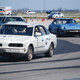 Illustration for article titled The 24 Hours Of LeMons Texas Gator-O-Rama Über Gallery: The Japanese